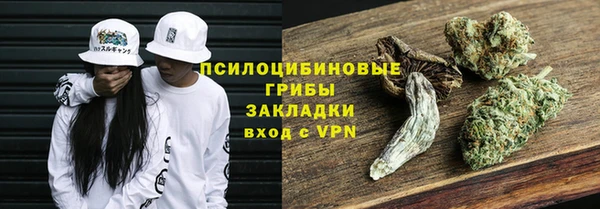 apvp Богданович